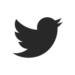 web-dele-farotimi-icon-twitter-dark