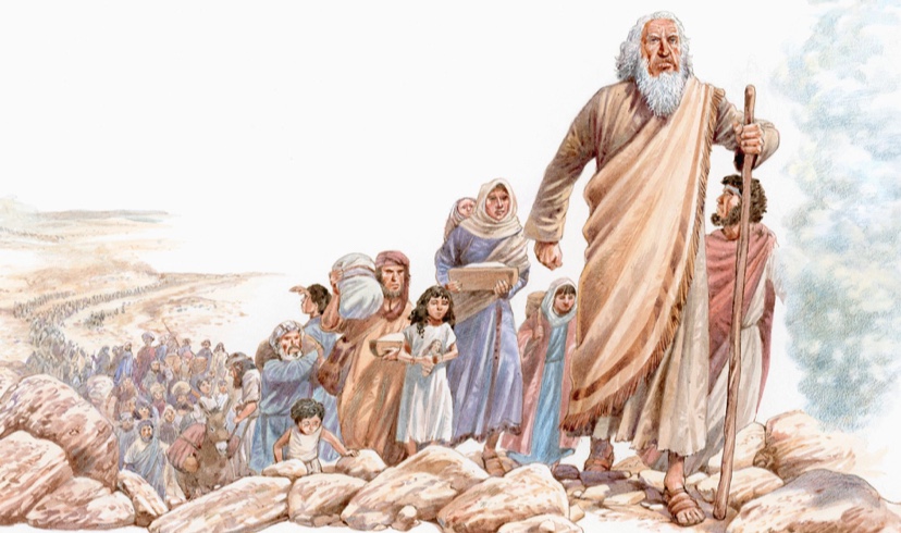 blog-image